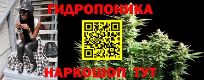 бошки Будённовск